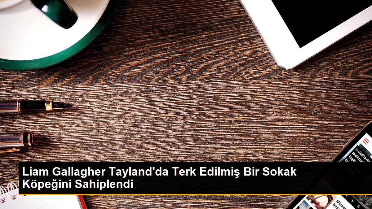 Oasis’in solisti Liam Gallagher, Tayland’da terk edilmiş bir sokak köpeğini sahiplendi