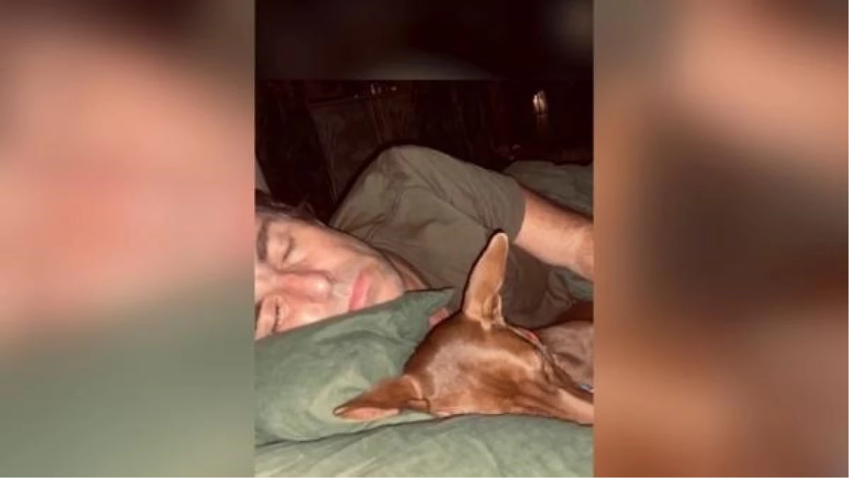 Oasis’in solisti Liam Gallagher, Tayland’da terk edilmiş bir sokak köpeğini sahiplendi