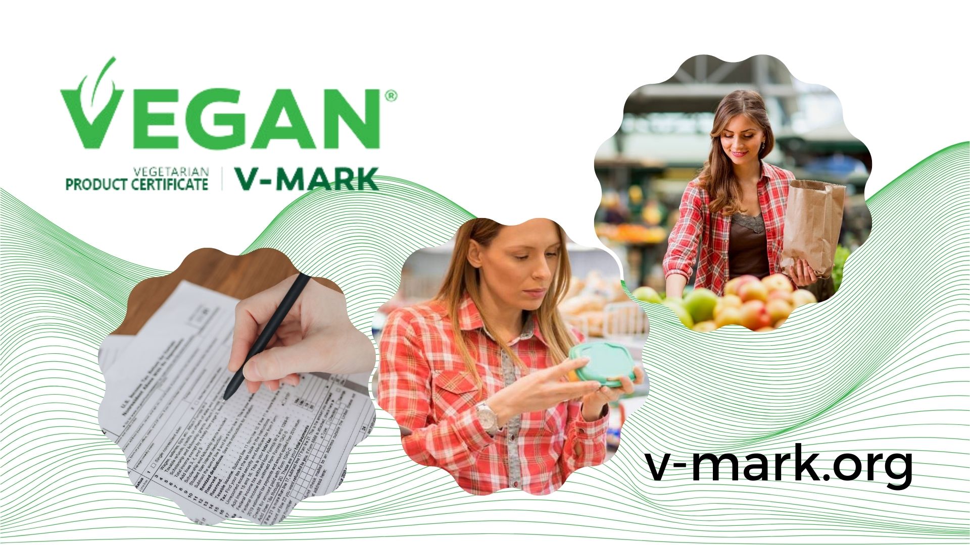V-Mark Hakkında