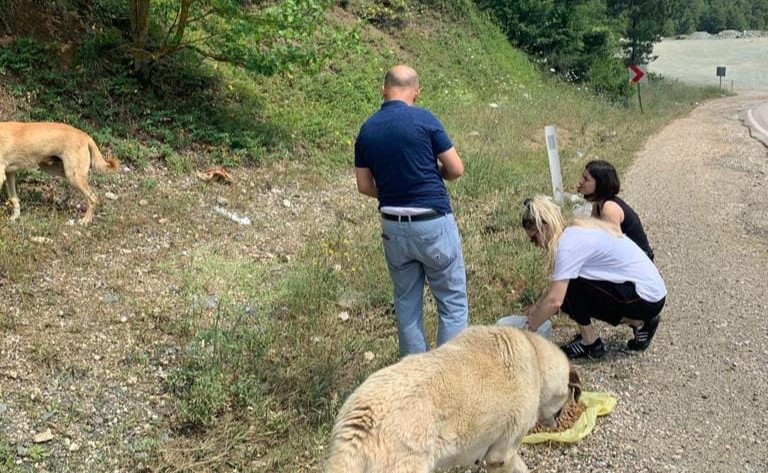 Sahipsiz Patiler Derneği Bursa