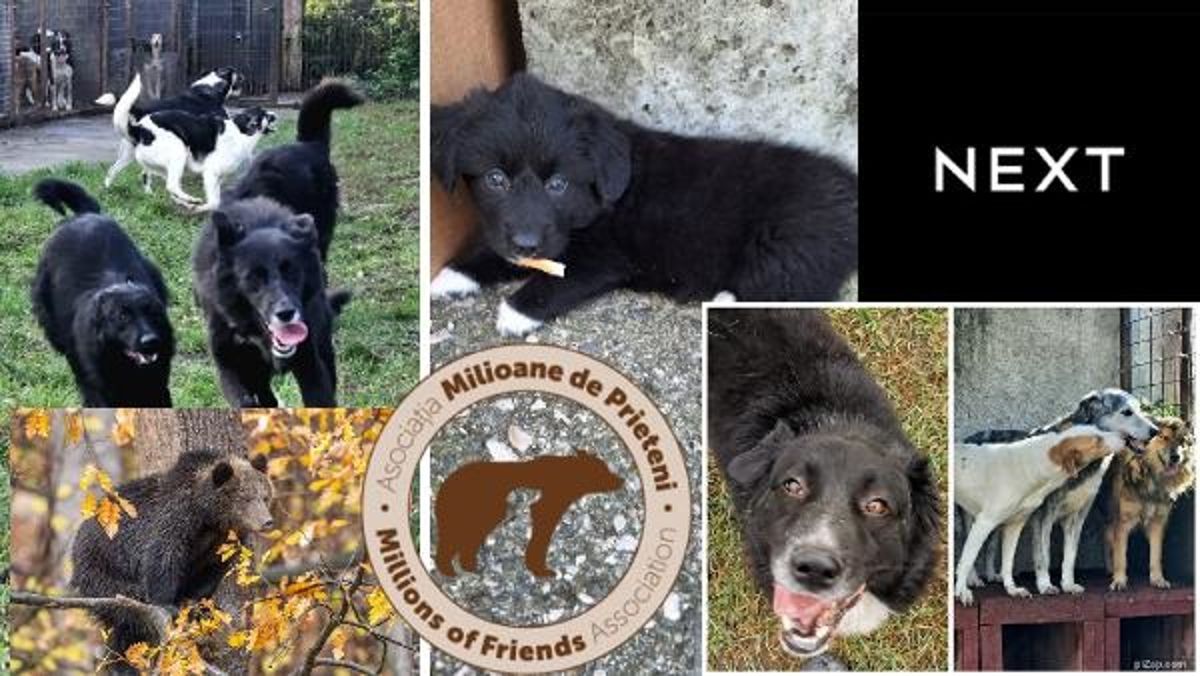 Ricky Gervais, Hayvan Refahı İçin 1.9 Milyon Pound Bağışladı