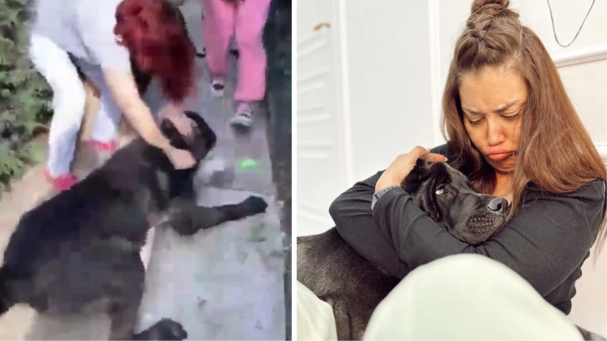 Köpeği, başka bir köpeği öldüren Banu Parlak’tan açıklama: Oyun oynamak için yanına gitti