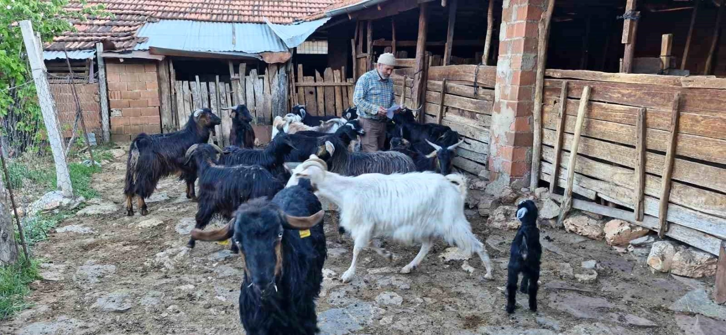 Denizli’nin Tavas ilçesinde keçi çobanı şiir ve müzikle ilgileniyor