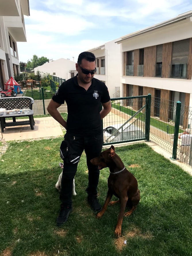 S.I.R K9 Köpek Eğitim Akademisi: Emre Ün ile Kaliteli Eğitim