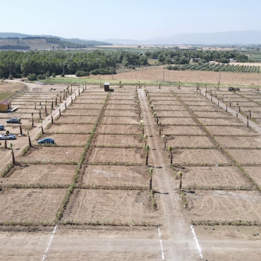 Harun Karakaya ve İzmir’in Yeşilköy Projesi ile Çevreci Bir Gelecek